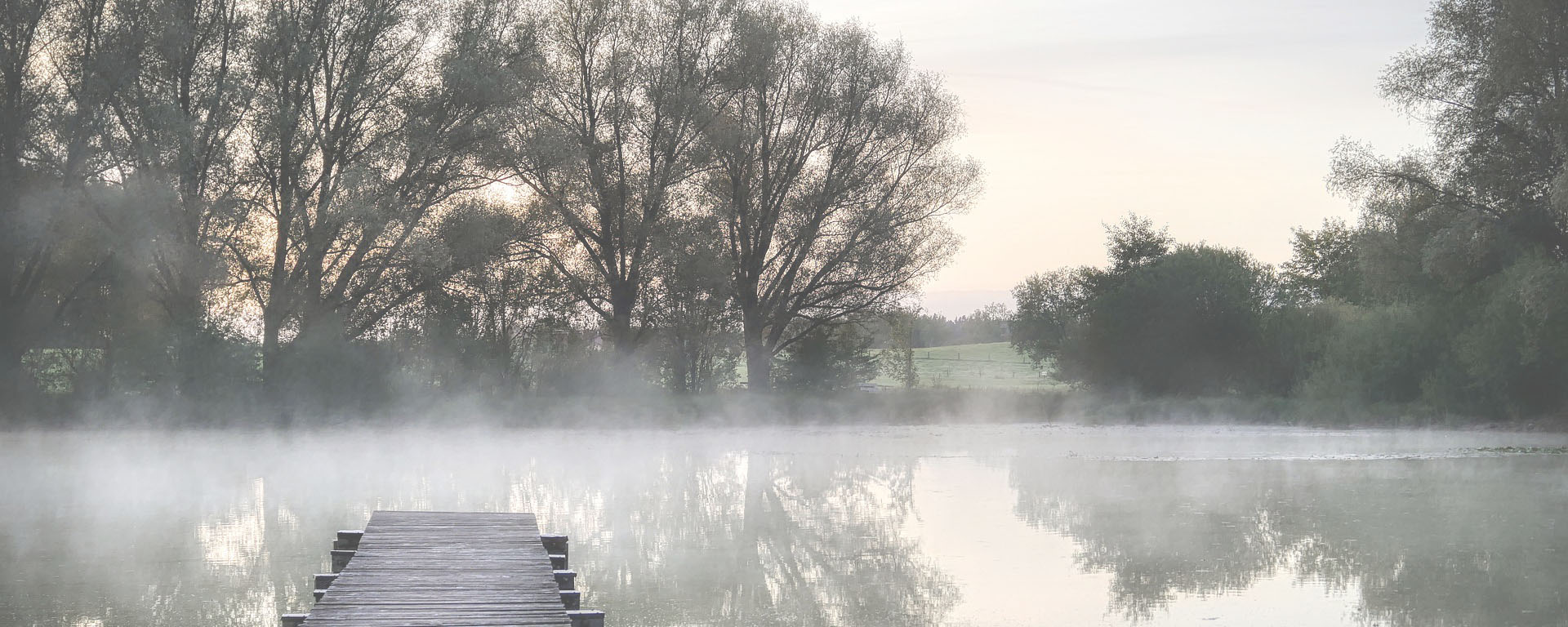 Holzsteg im Morgennebel mit Blick auf Bäume führt auf Wasser hinaus